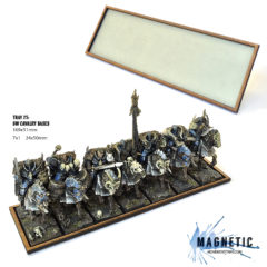 25x50mm Rank & File (Cavalry)